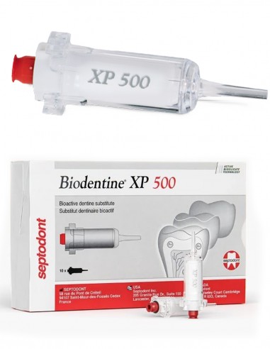 BIODENTINE XP 500 CONFEZIONE 10 CARTUCCE