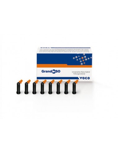 GRANDIOSO - CAPS 16X0,25G A3 2652